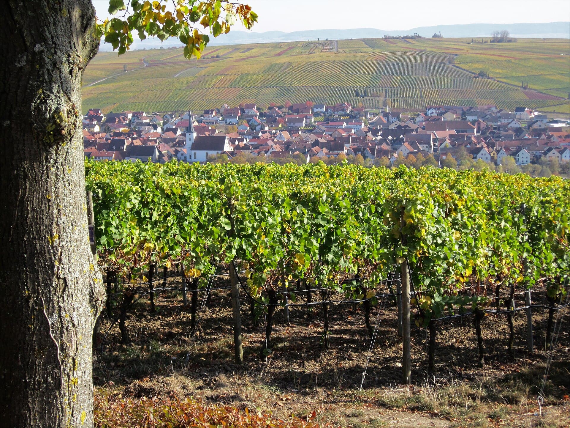 Messe: Nordheimer Weinfest, Nordheim am Main