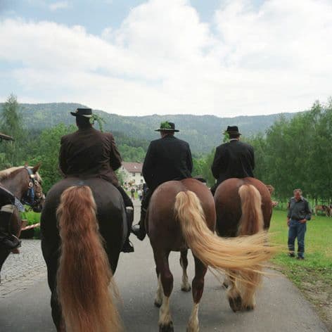 Brauchtumsfest: Kötztinger Pfingstritt, Bad Kötzting