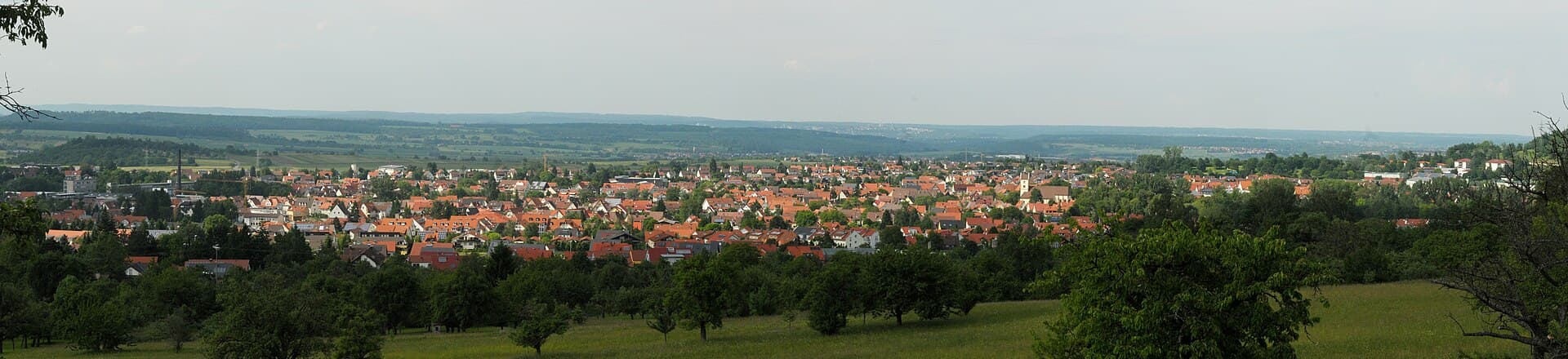Volksfest: Mössinger Stadtfest, Mössingen