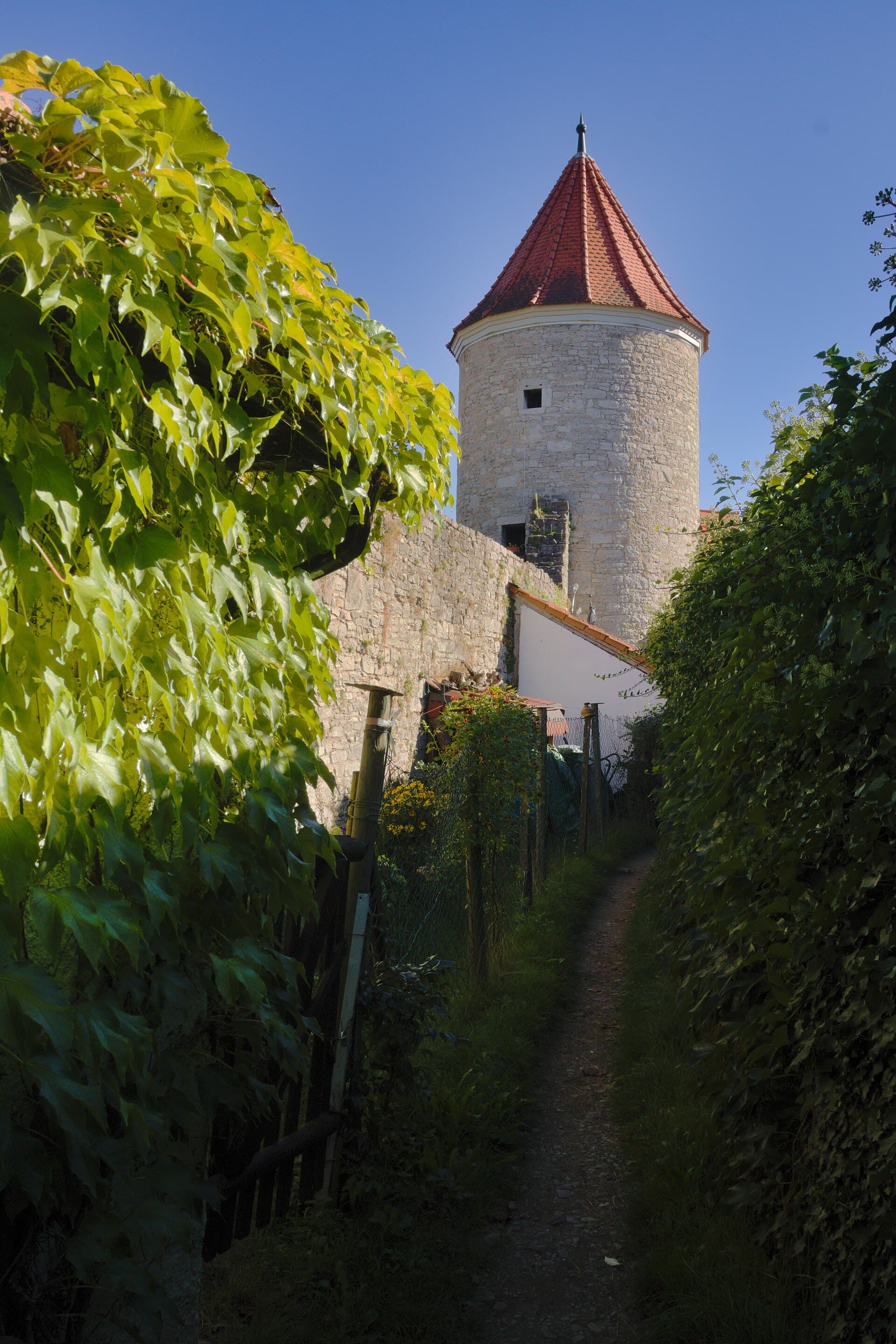 Messe: Weinfest der TSG Sommerhausen, Sommerhausen